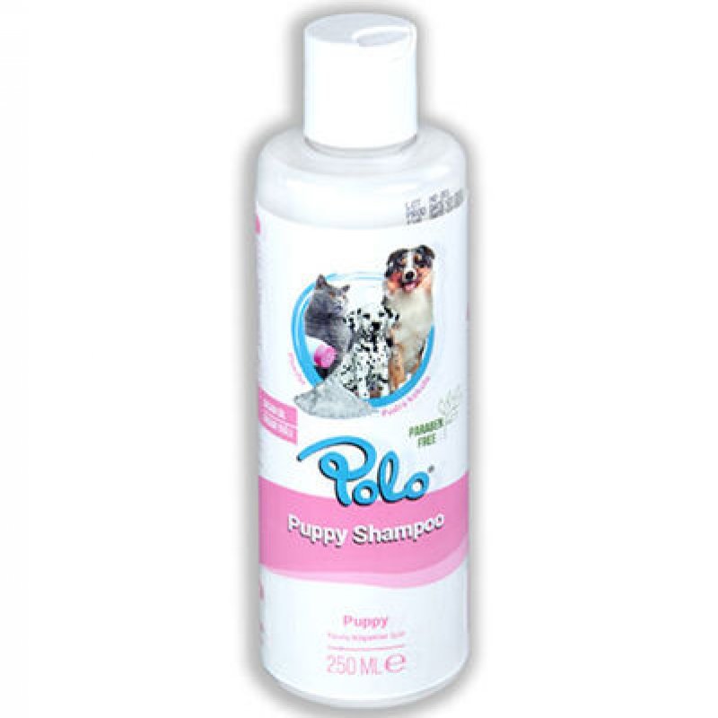  | Polo Puppy Pudra Kokulu Yavru Kedi ve Köpek Şampuanı 250 ml